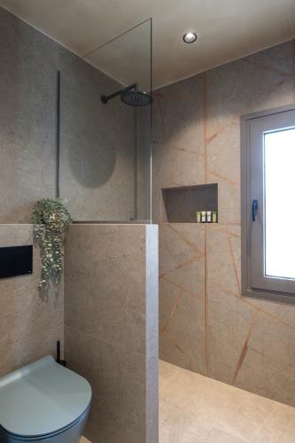 purnaricentertoroni_no103_00002